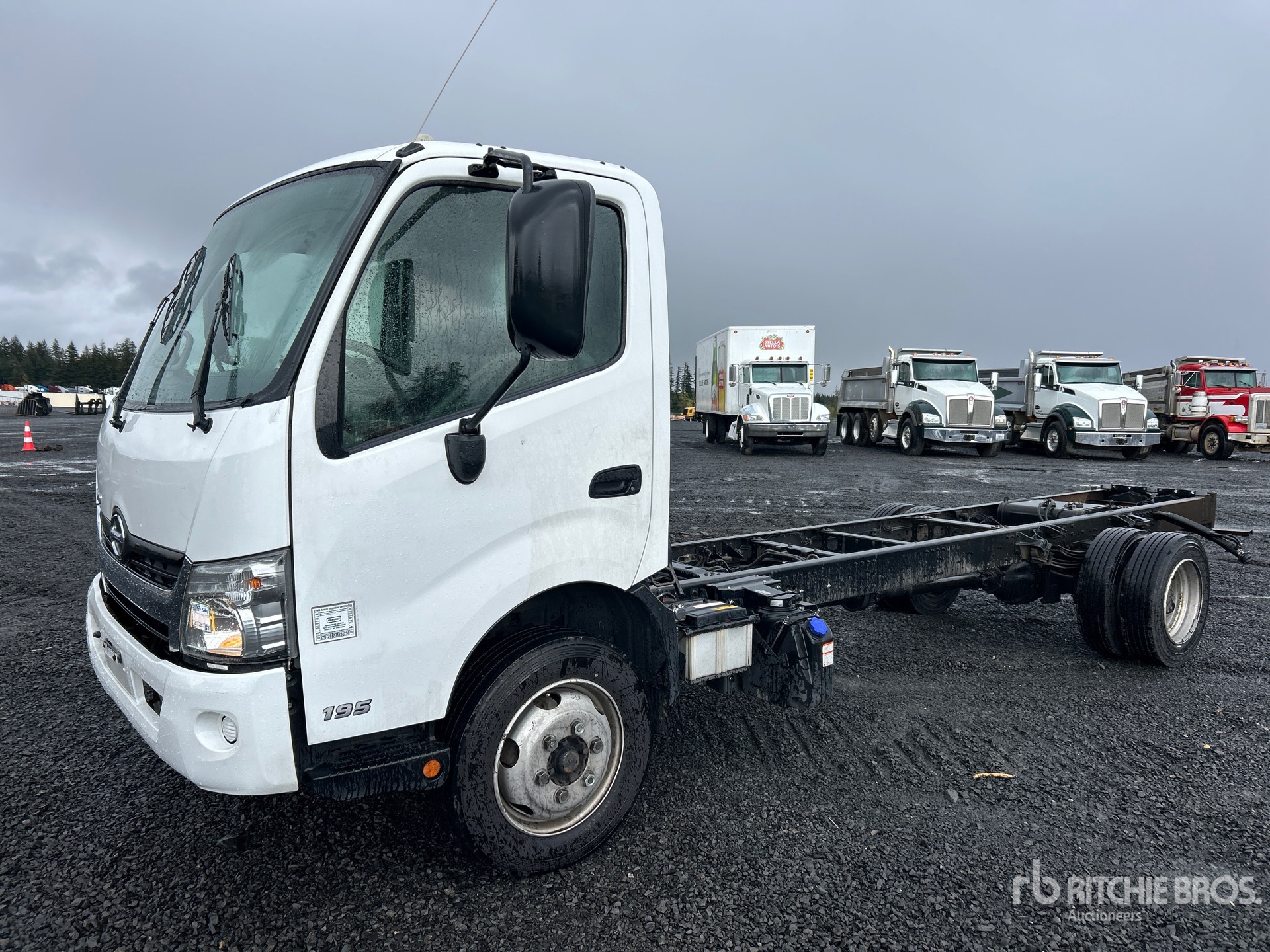 General Appearance with Spin