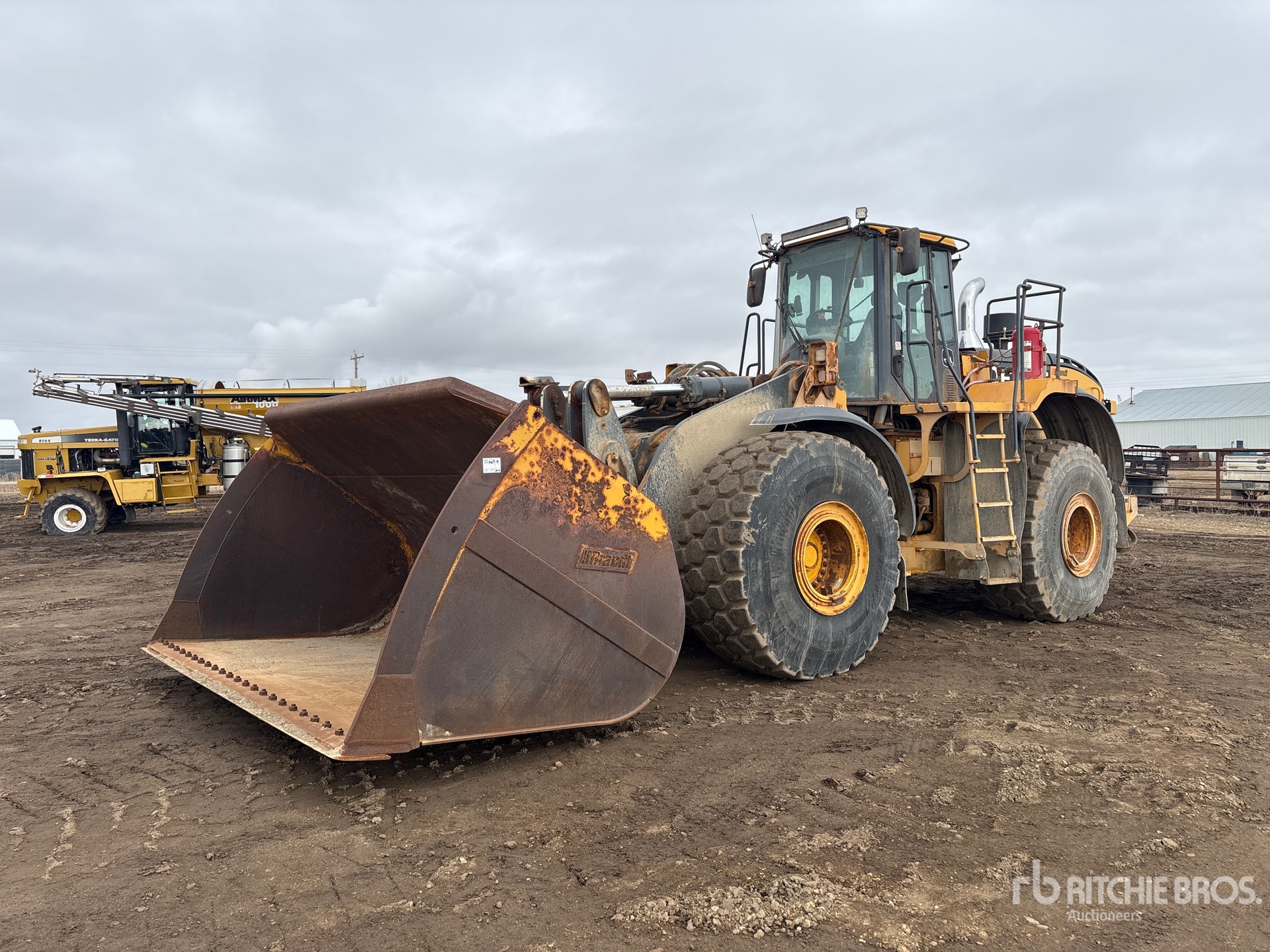 General Appearance with Spin