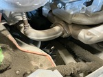 Engine with Exhaust System