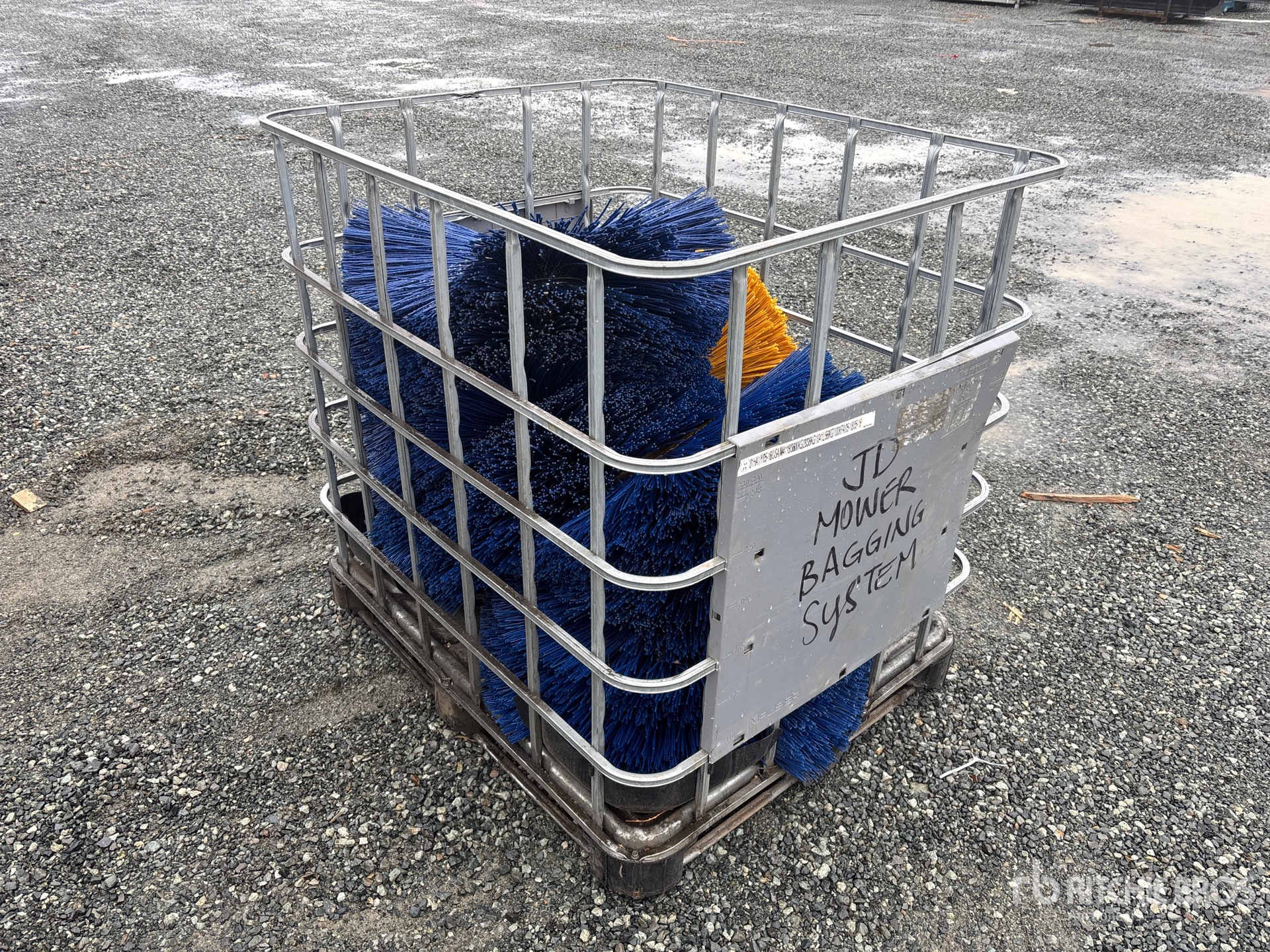 General Appearance with Zdjęcie, prawy dolny róg