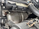 Engine with Exhaust System