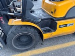 General Appearance with Paint