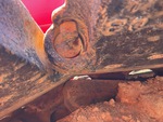 Undercarriage with Left Track Bushings