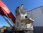 General Appearance with Paint