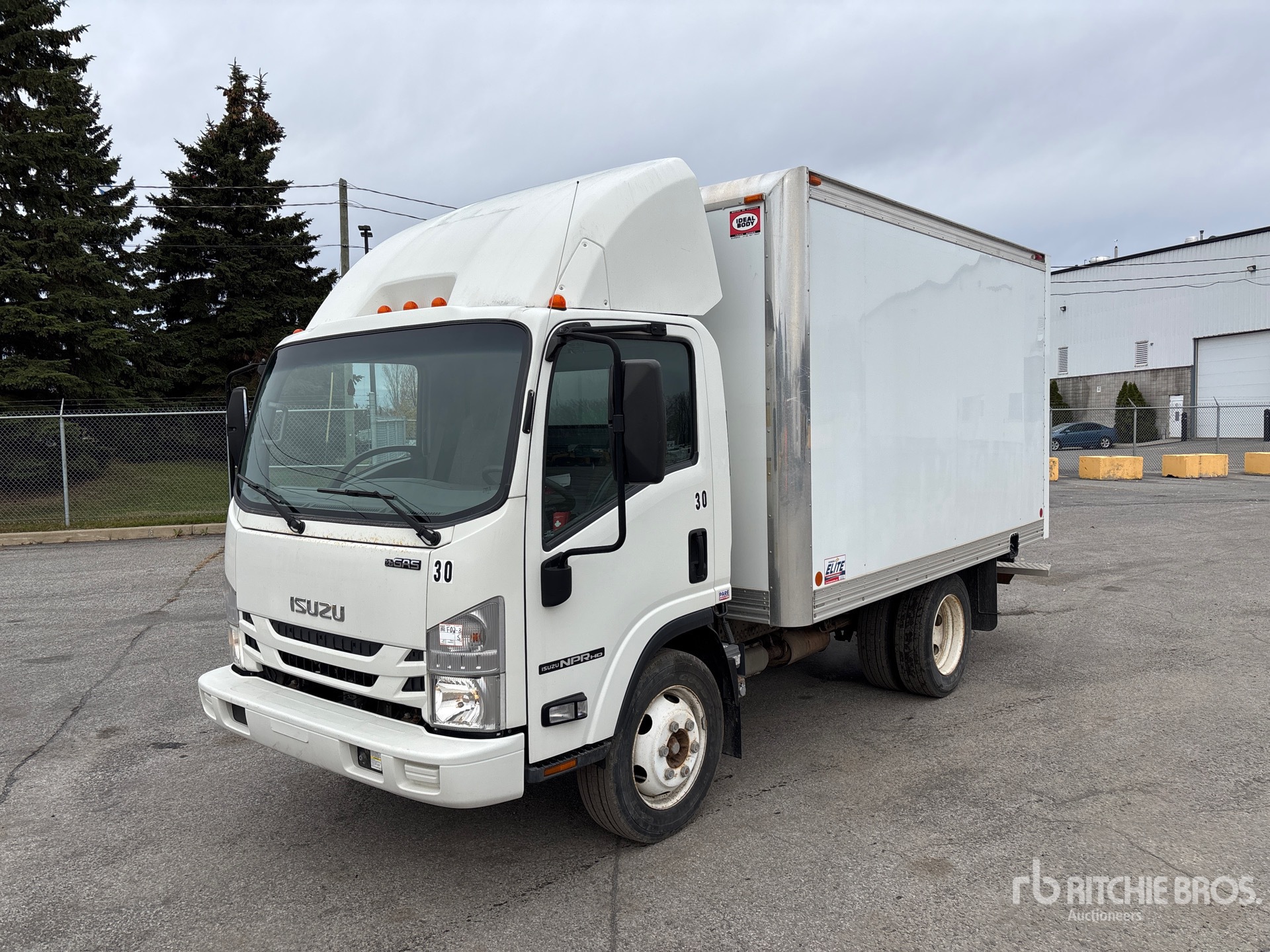 General Appearance with Spin