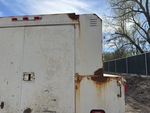 General Appearance with Paint