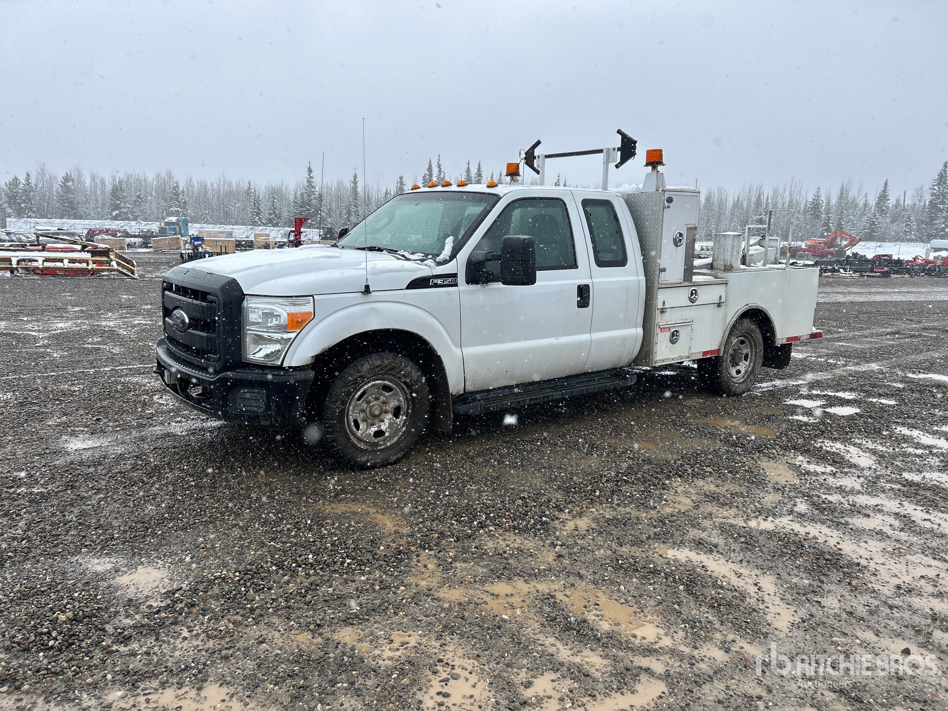 General Appearance with Spin