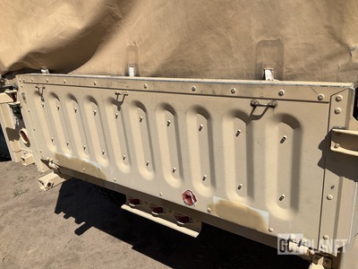General Appearance with Paint