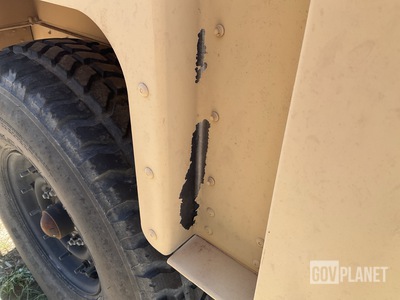 General Appearance with Paint