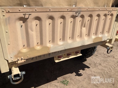 General Appearance with Paint