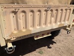General Appearance with Paint