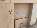 General Appearance with Paint