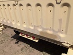 General Appearance with Paint
