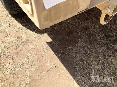 General Appearance with Paint