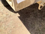 General Appearance with Paint