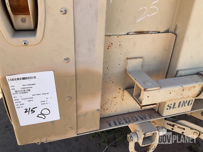 General Appearance with Paint