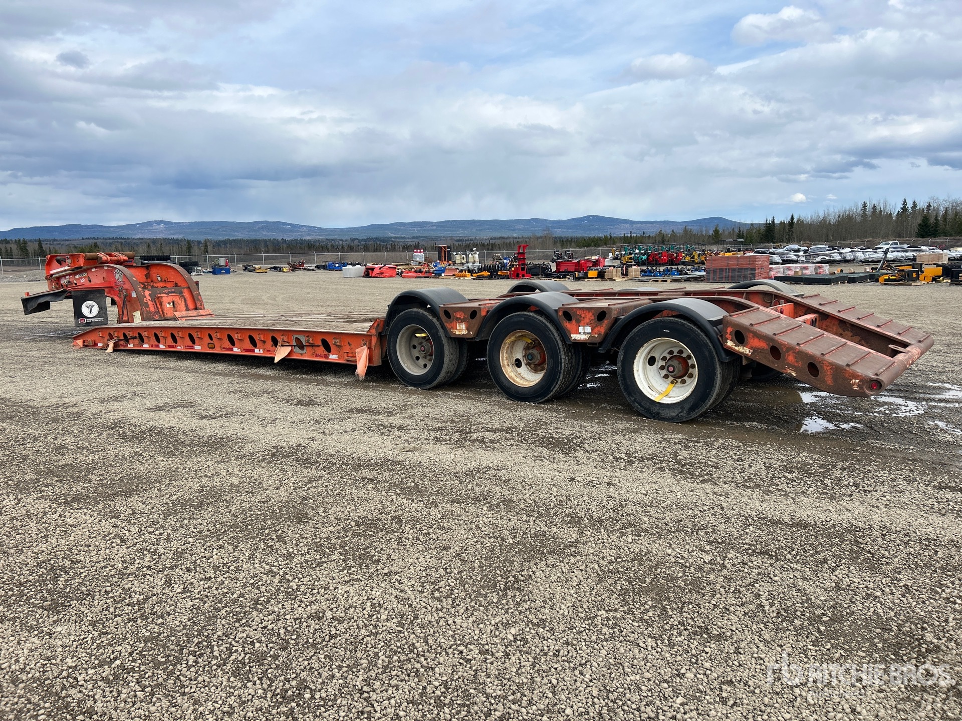 General Appearance with Zdjęcie, lewy dolny róg