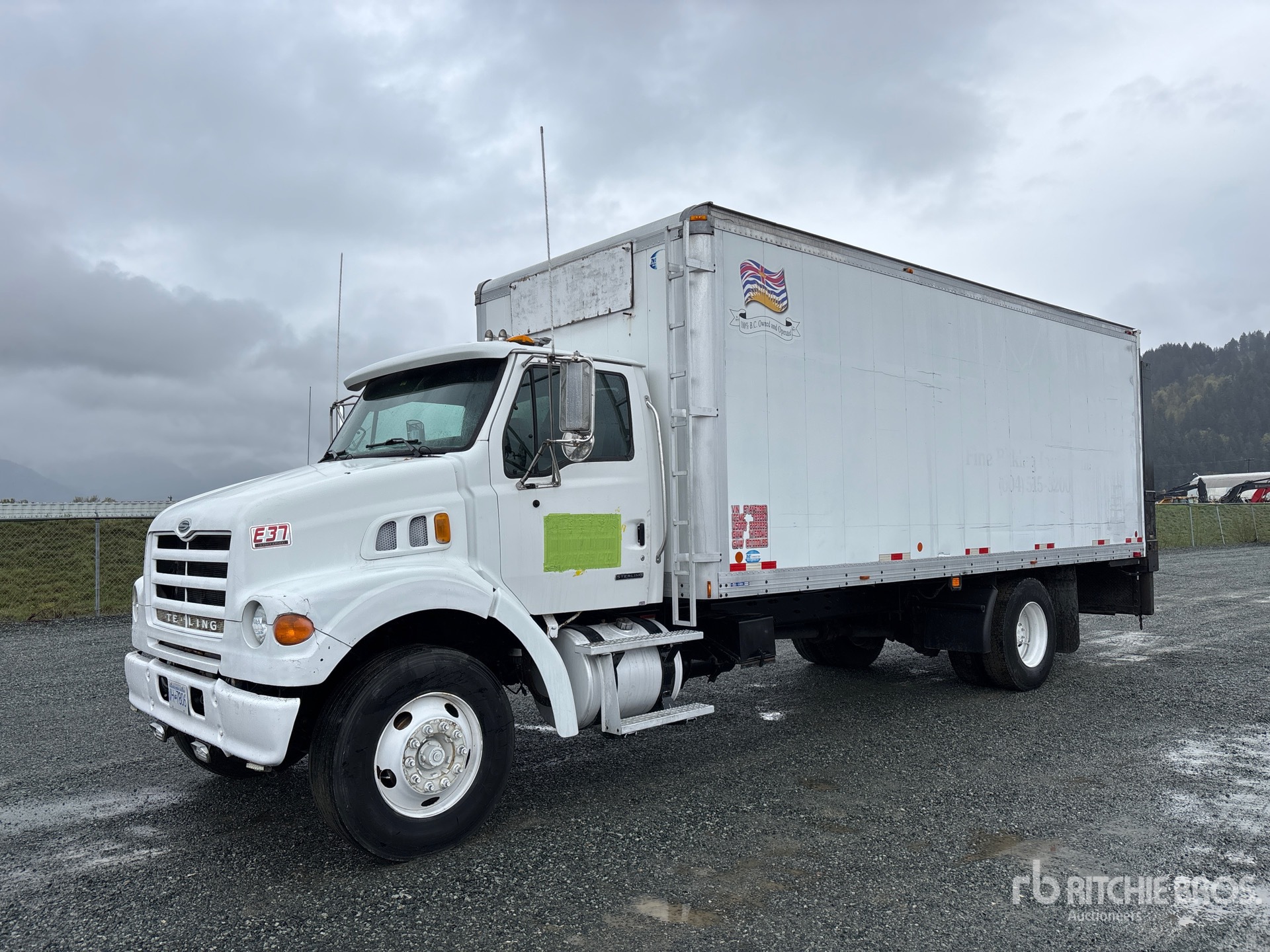 General Appearance with Spin