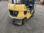 General Appearance with Paint