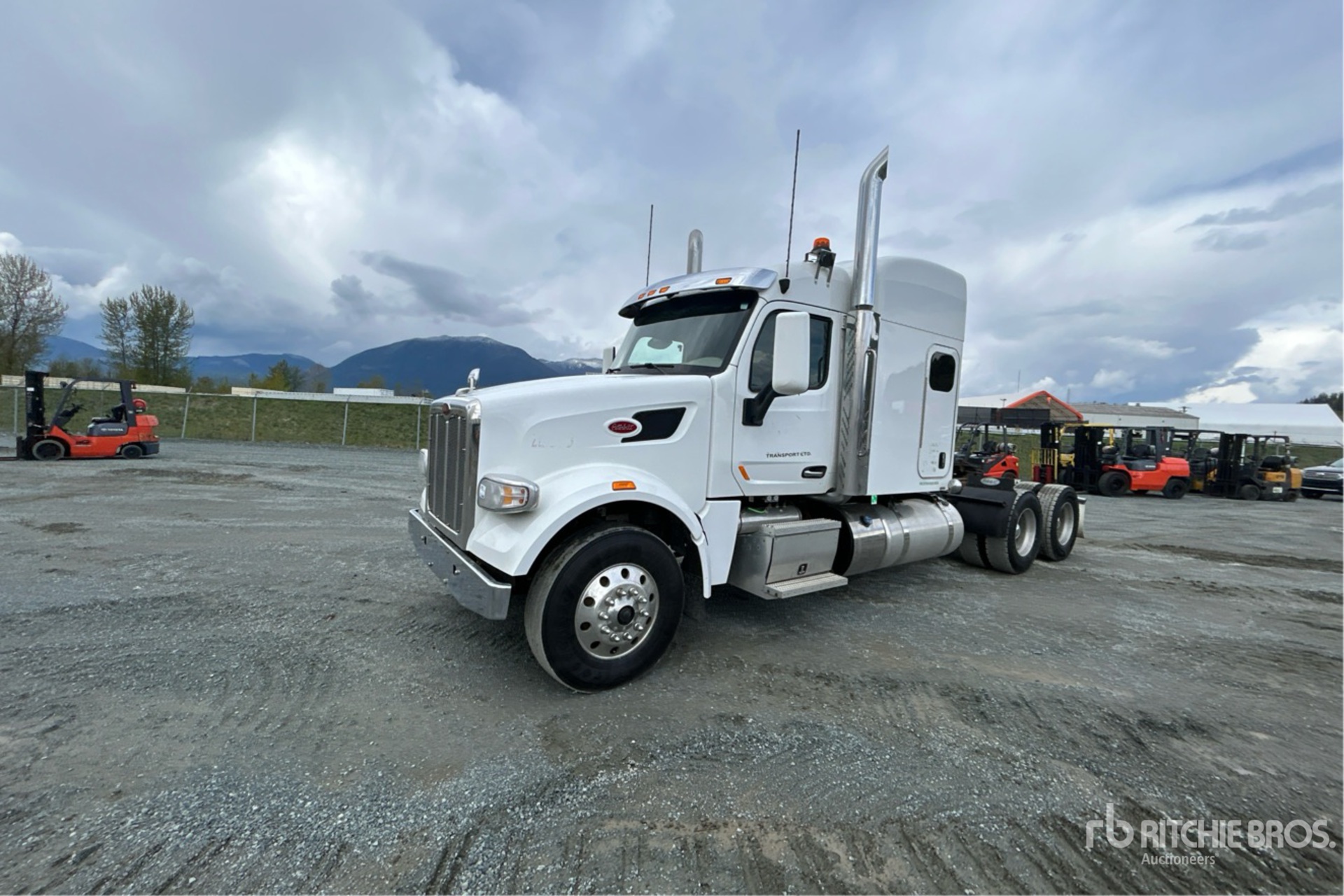 General Appearance with Bild, Ecke vorne links