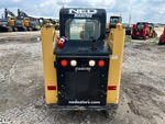 General Appearance with Paint