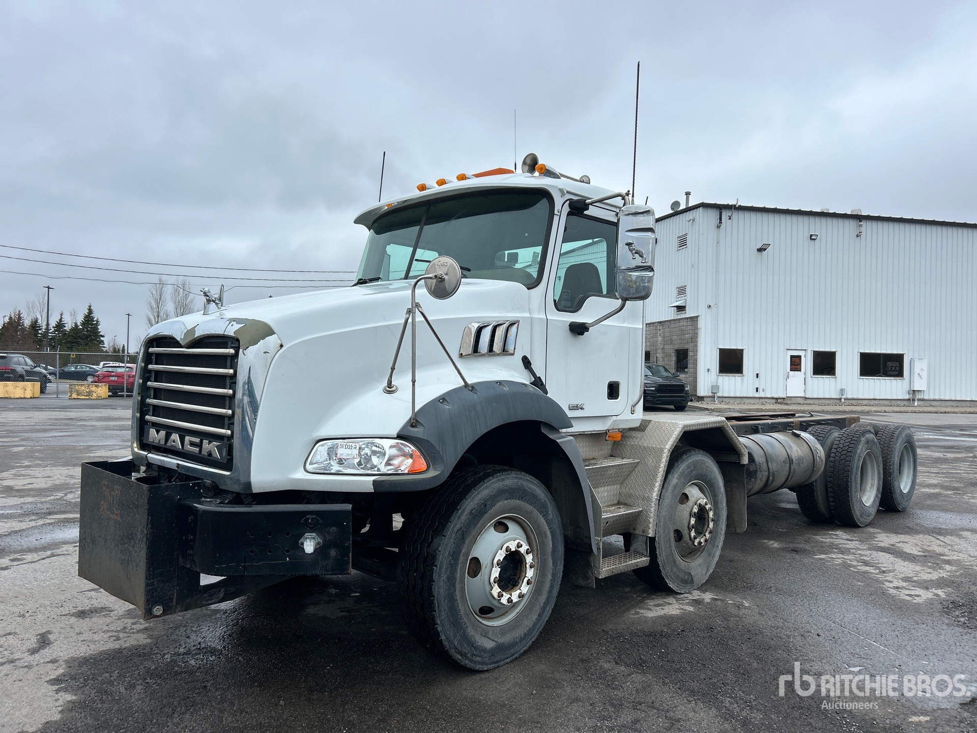 General Appearance with Spin