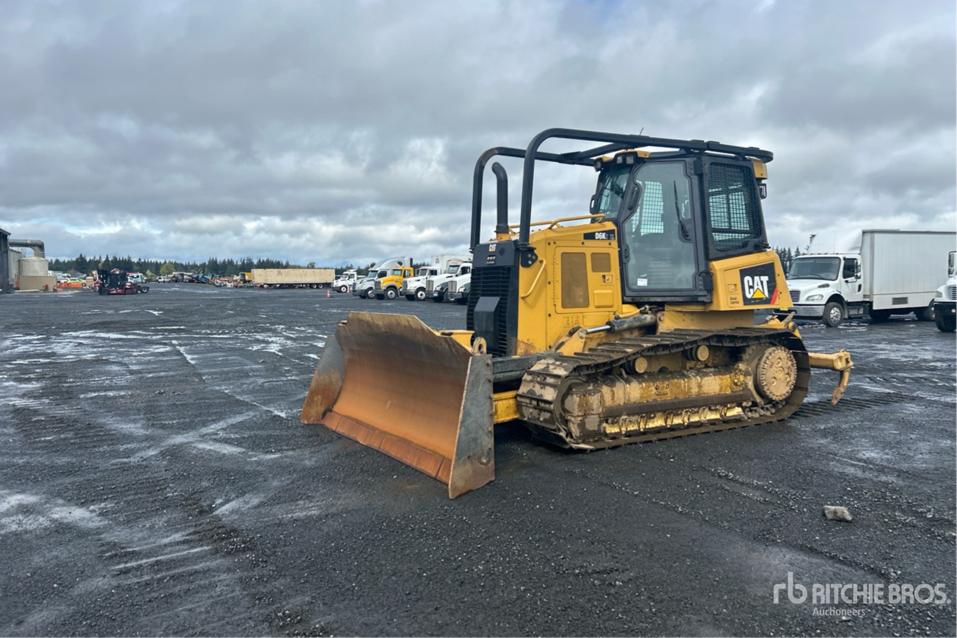 General Appearance with Spin