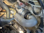 Engine with Exhaust System