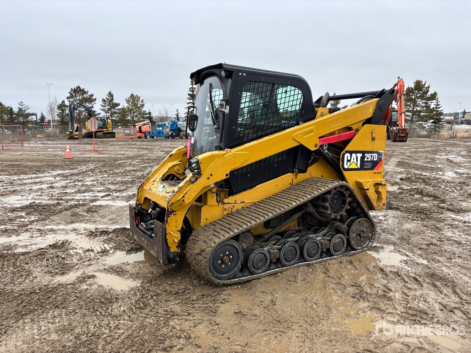 General Appearance with Spin