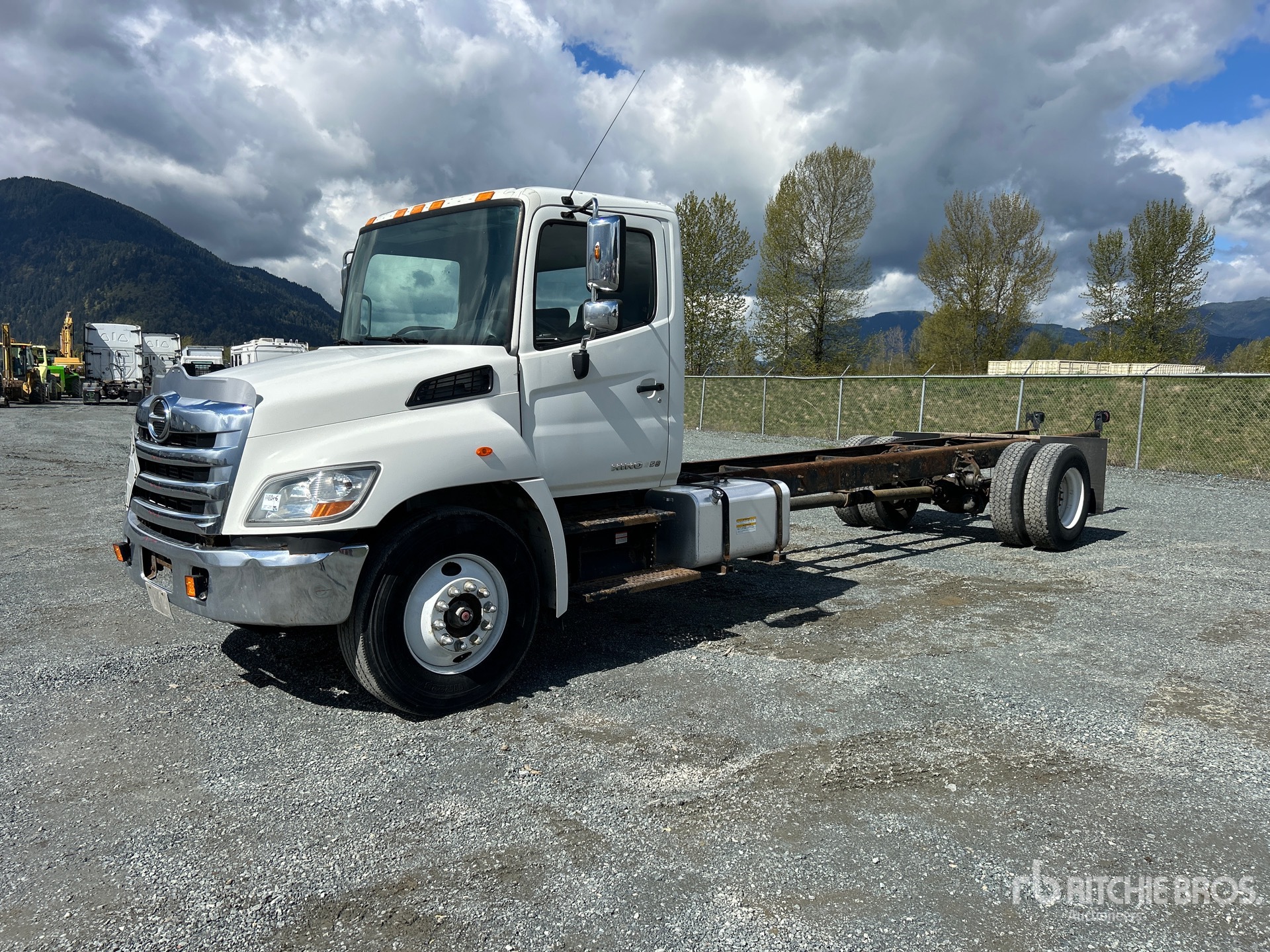 General Appearance with Spin