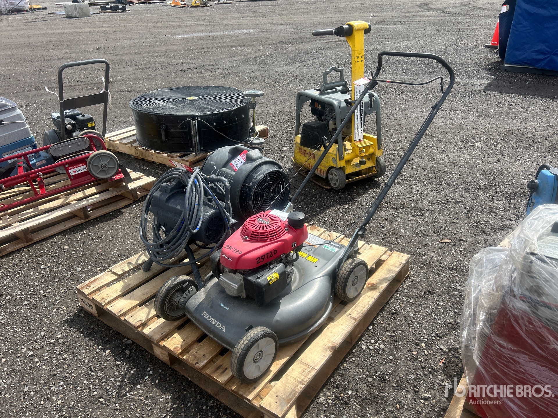 General Appearance with Imagen: esquina delantera izquierda