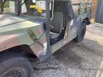 General Appearance with Paint
