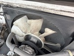 Engine with Radiator