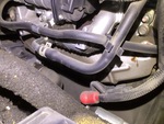 Engine with Exhaust System