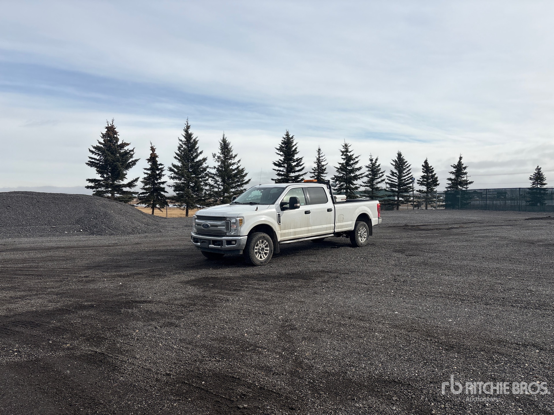 General Appearance with Spin