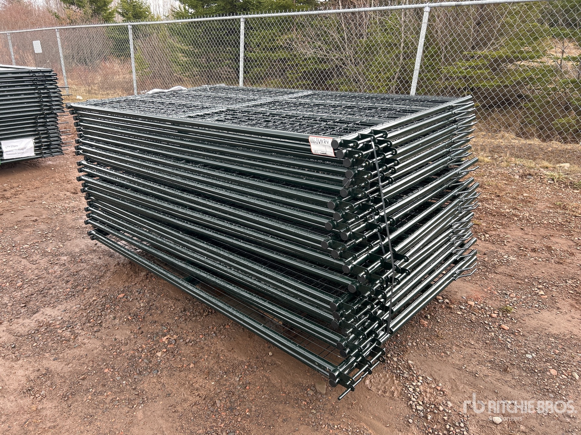 General Appearance with Bild, Ecke vorne links