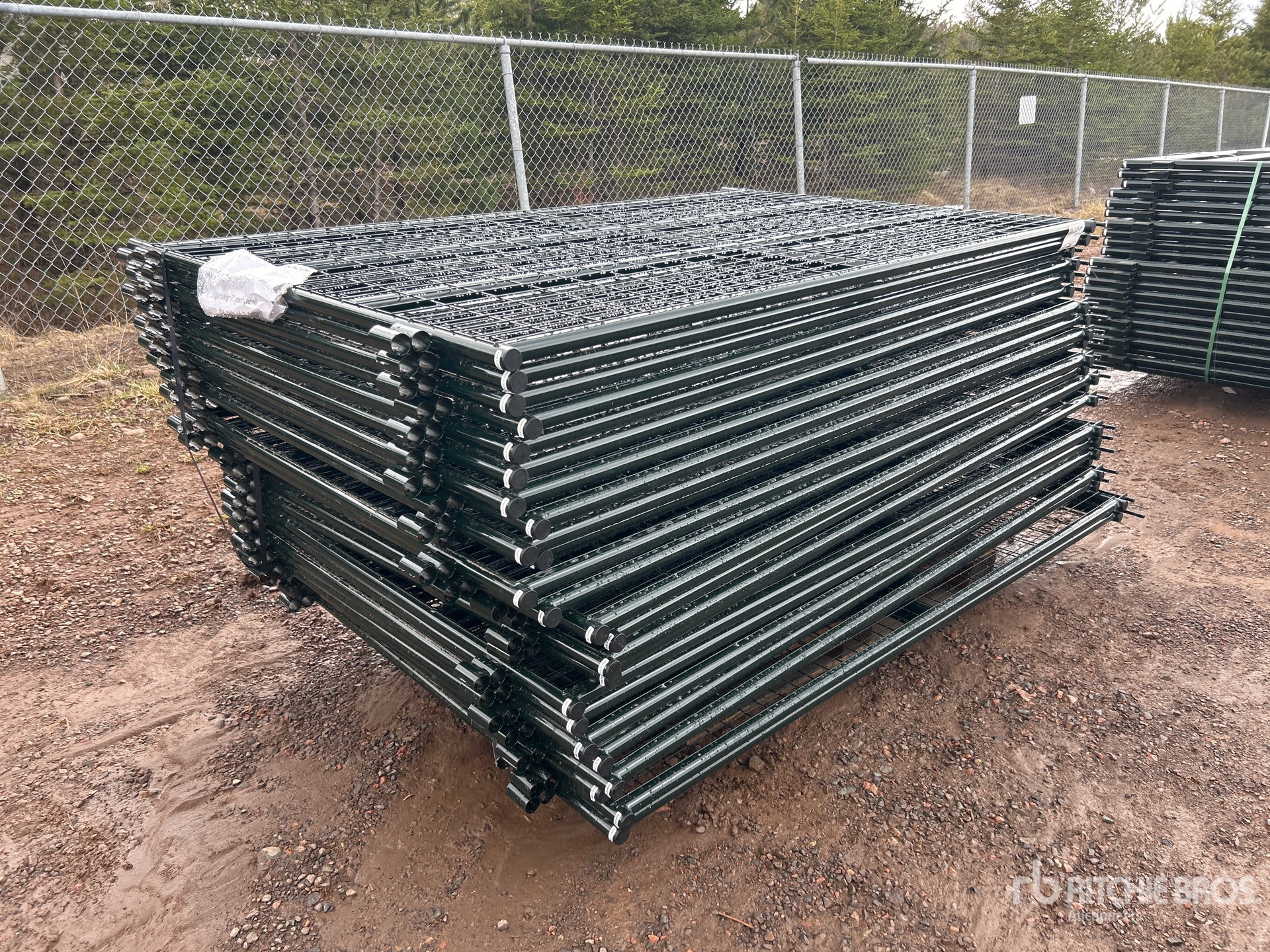 General Appearance with Bild, Ecke vorne rechts