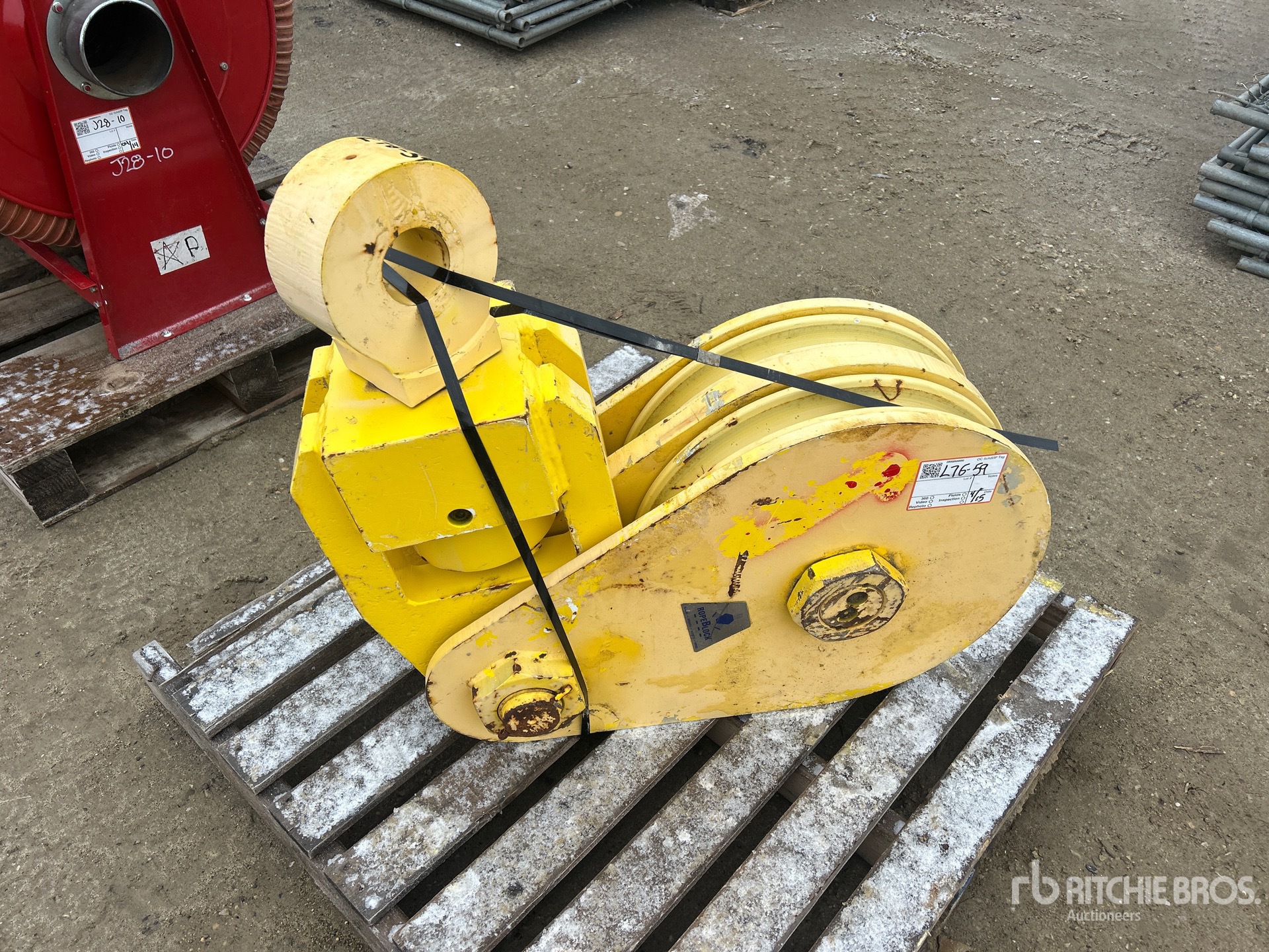 General Appearance with Zdjęcie, prawy górny róg