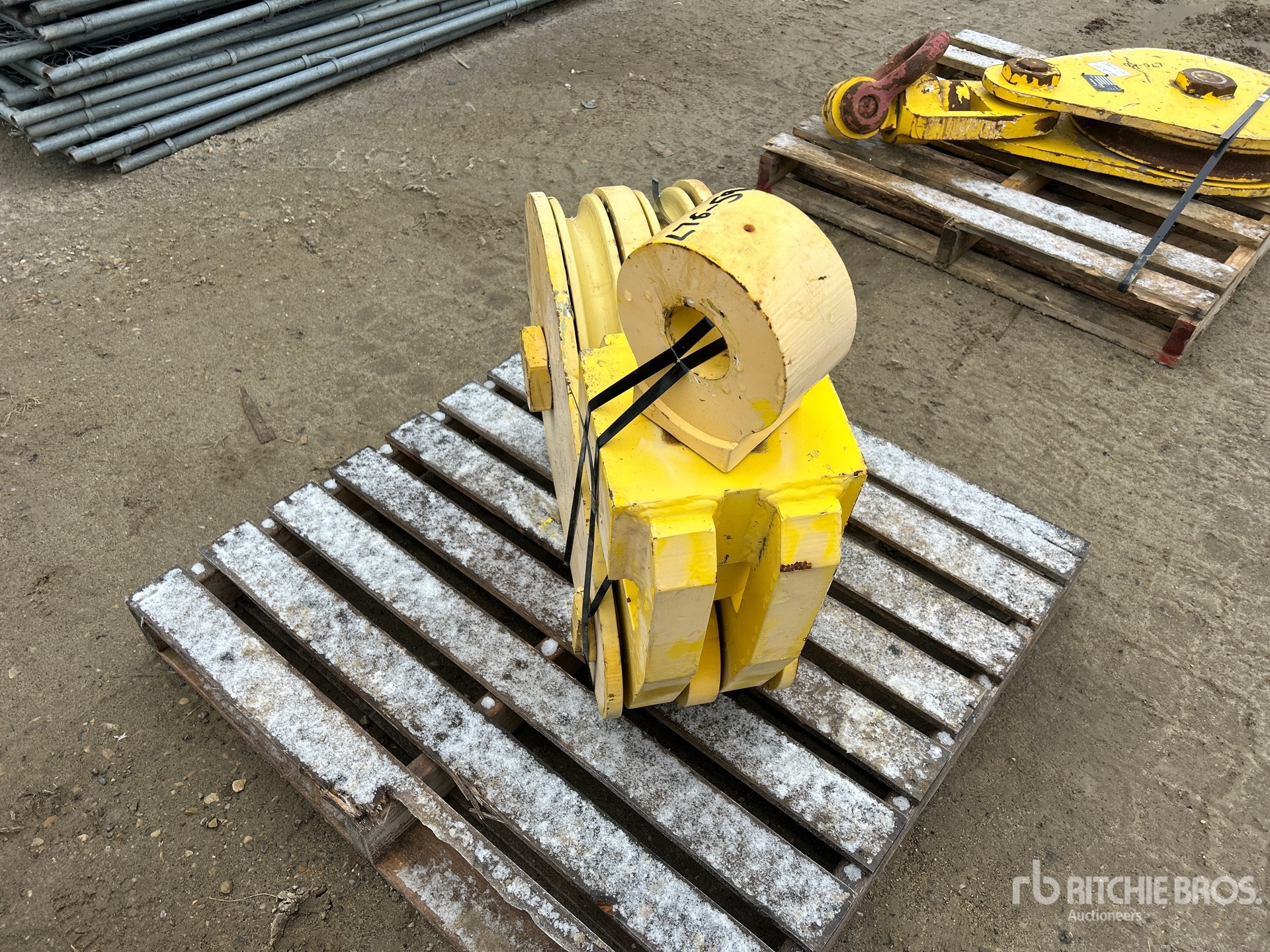 General Appearance with Zdjęcie, prawy dolny róg