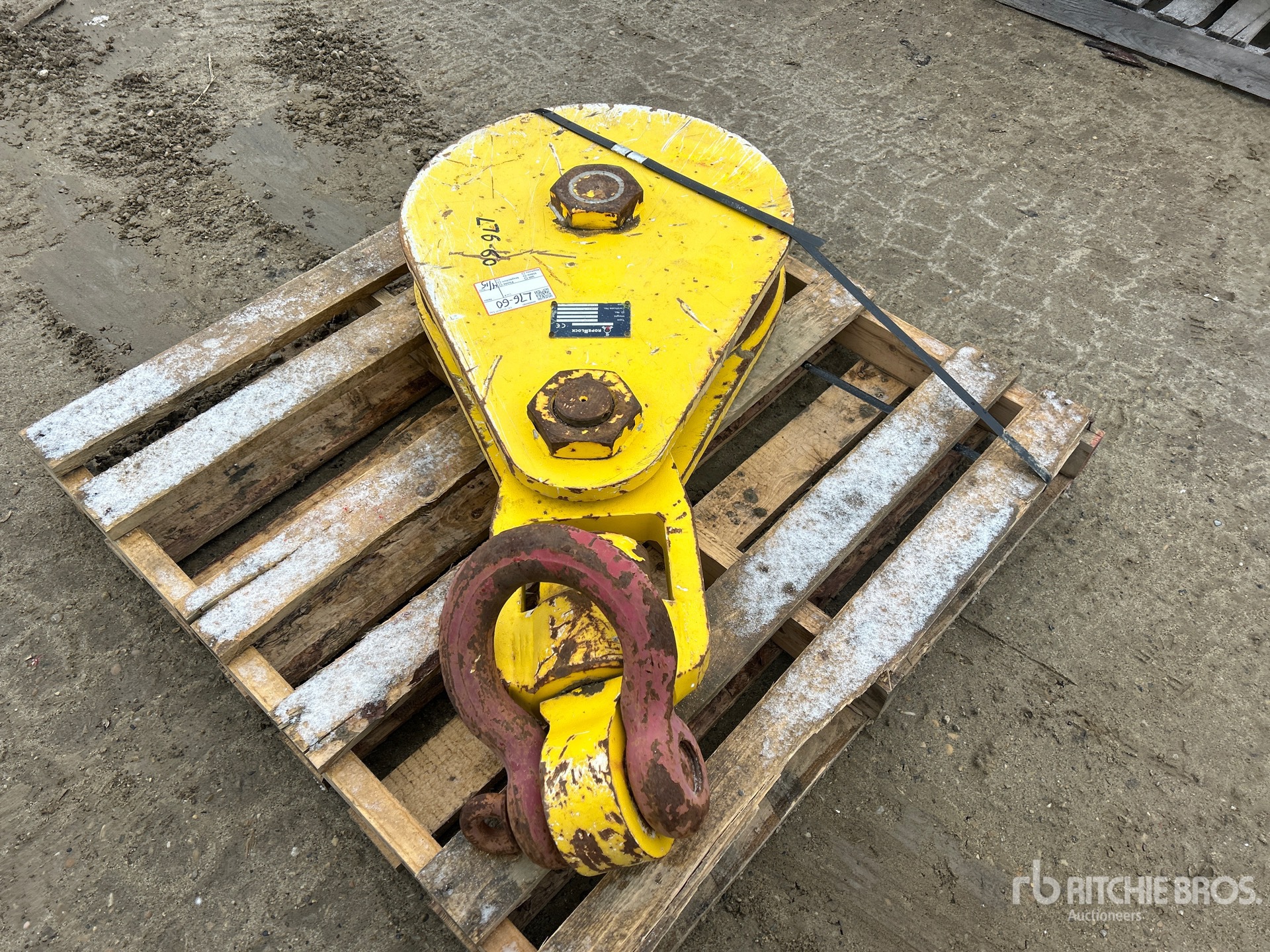 General Appearance with Zdjęcie, lewy dolny róg