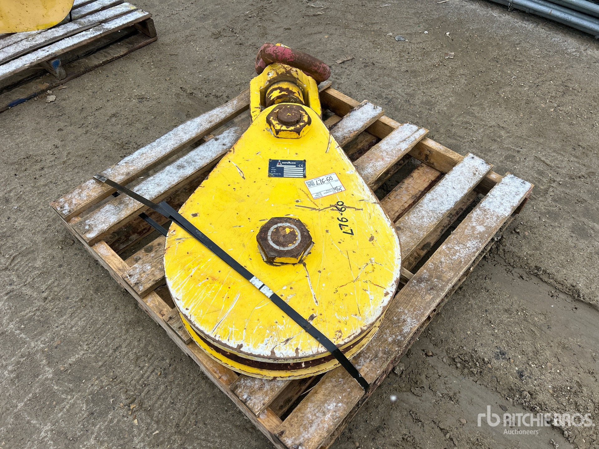 General Appearance with Zdjęcie, prawy górny róg