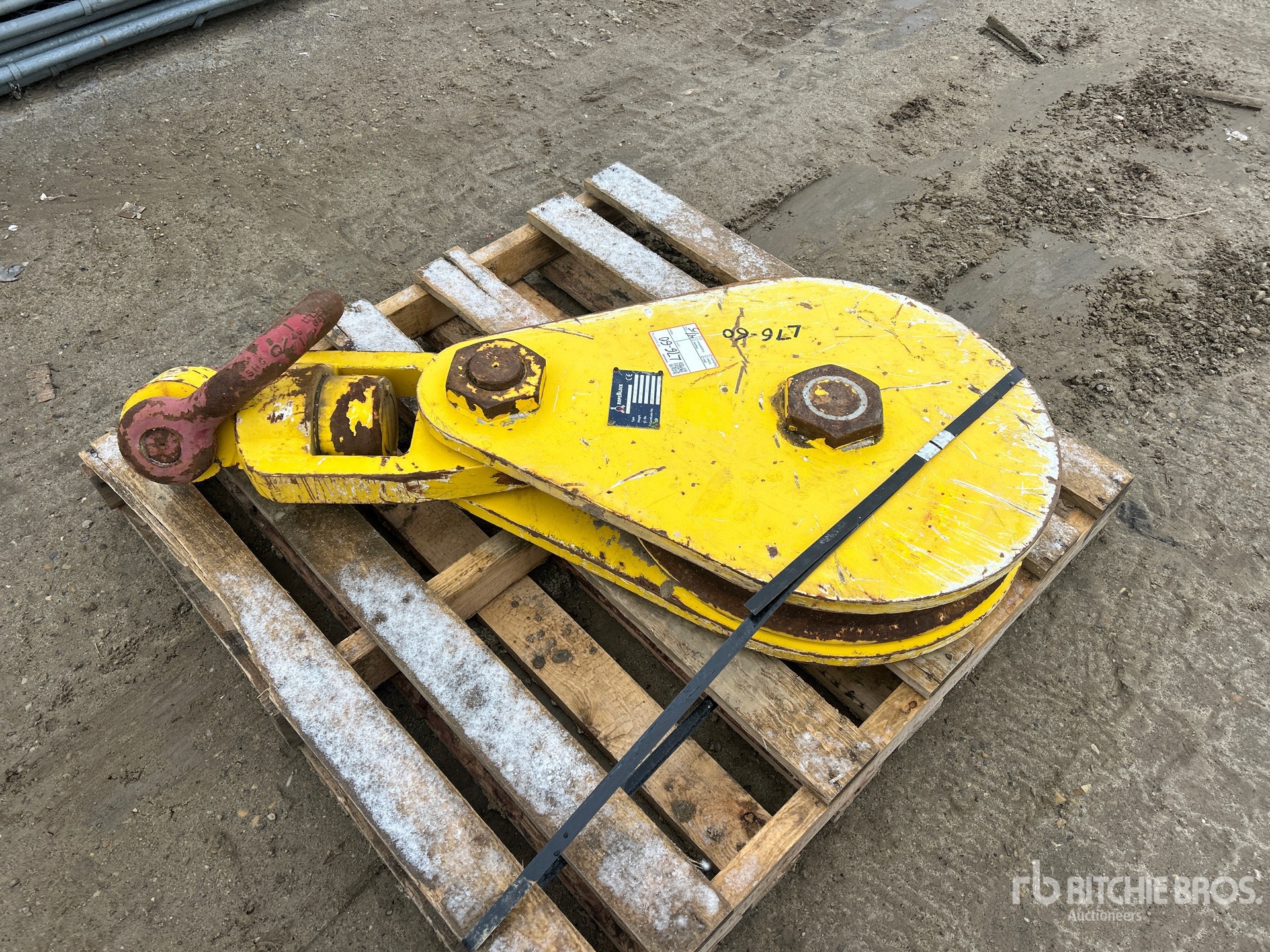 General Appearance with Zdjęcie, prawy dolny róg