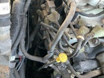 Engine with Oil Leaks