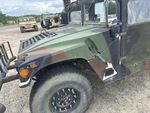 General Appearance with Paint