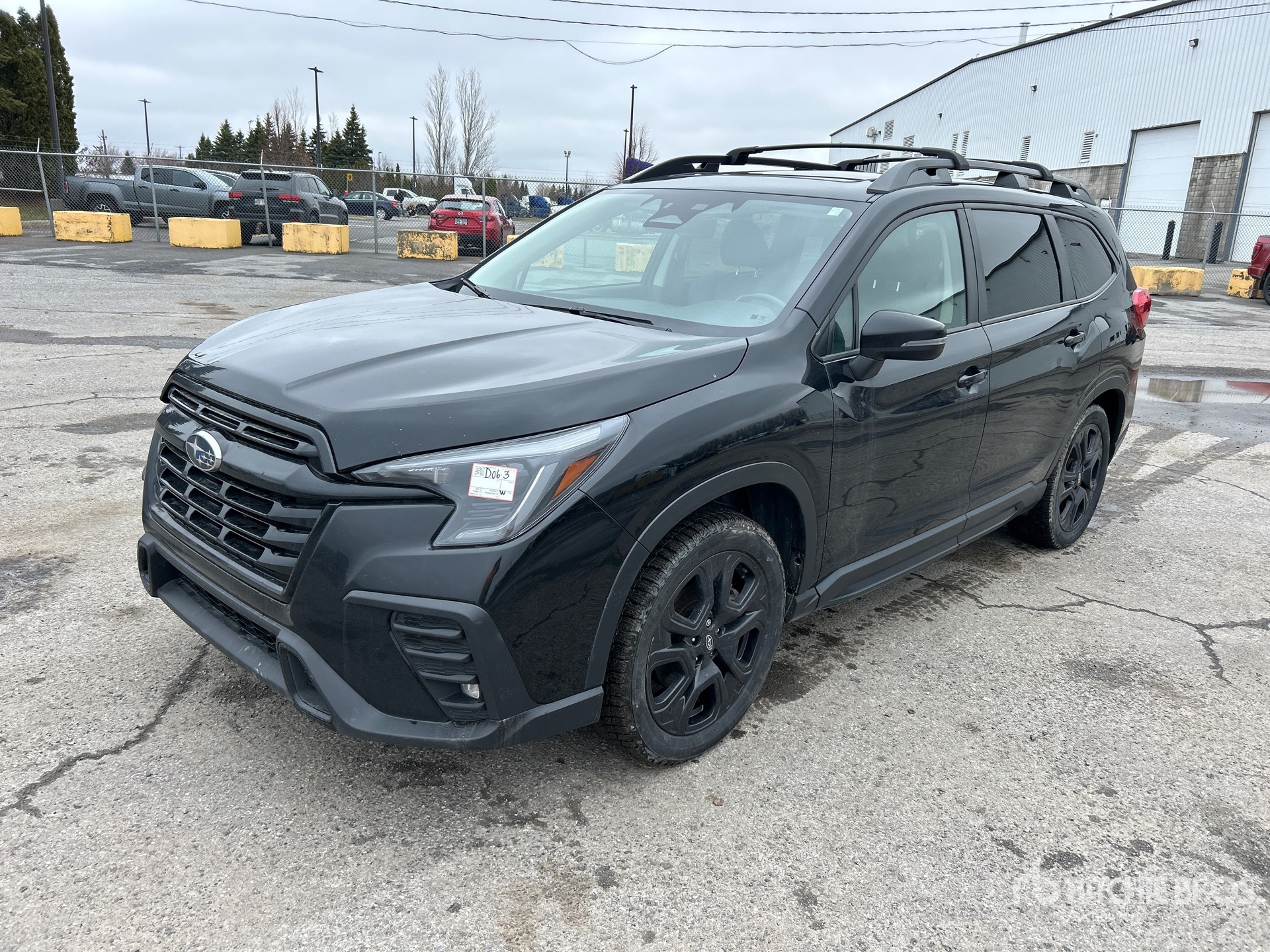 General Appearance with Spin