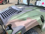 General Appearance with Paint