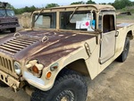 General Appearance with Paint