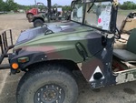 General Appearance with Paint