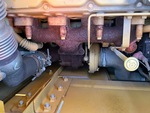 Engine with Exhaust System