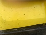 General Appearance with Pintura